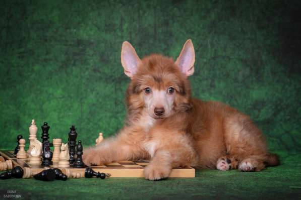 КХС в Москве фото 10