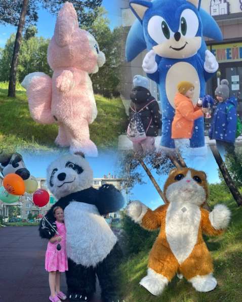 Аэрокостюмы, Аниматор