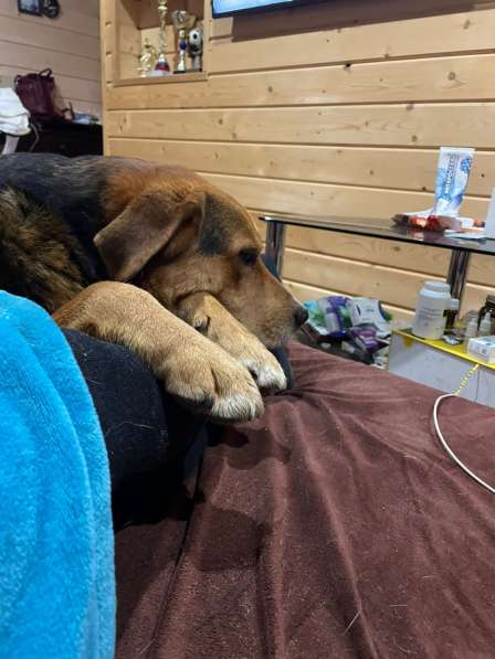 Эвакуатор 24 часа в Санкт-Петербурге фото 5