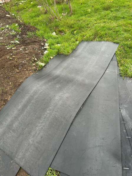 Транспортерная лента