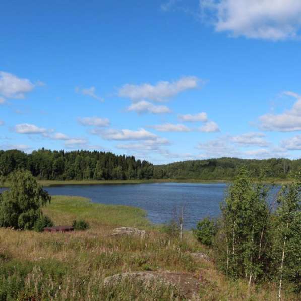Земельный участок 15 соток у поселка Асилан в Санкт-Петербурге фото 8