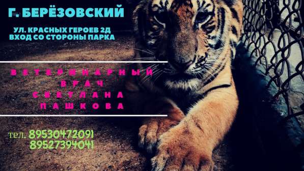 ОТКРЫЛСЯ ветеринарный кабинет г. Березовский в Березовский фото 5