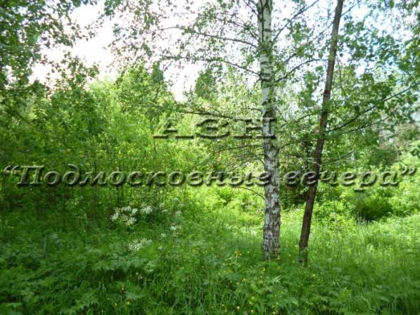 realty_mapper3.plot_in_locationСадовое некоммерческое тов-во. Площадь 30.90 сот.Есть Электричество. в Москве фото 9