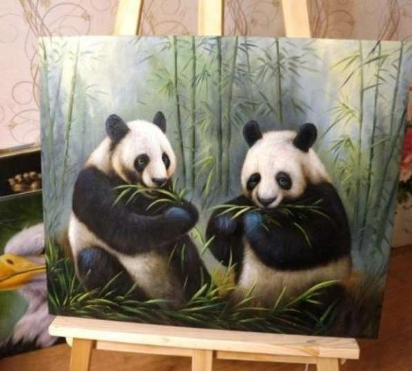 Панды, холст, 60х50см, картина маслом, Смирнов