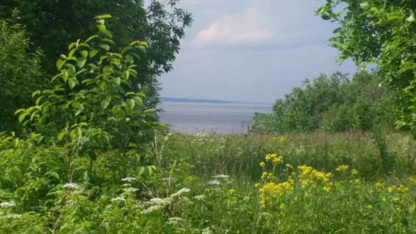 Участок 10 соток(СНТ, ДНП) в Перми фото 13