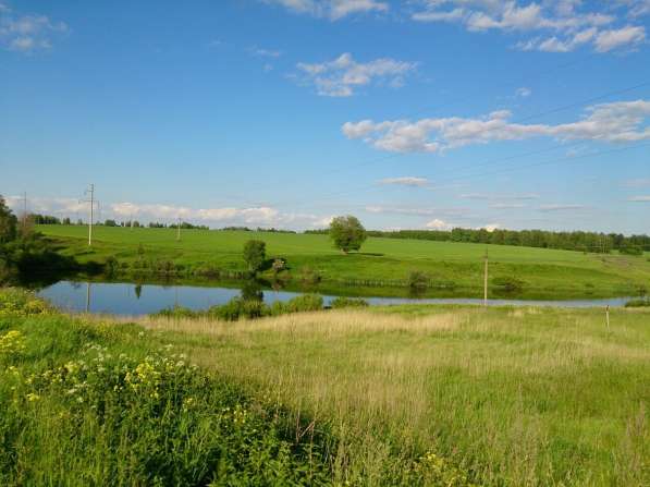 Участок 65 сот ИЖС в Москве фото 5