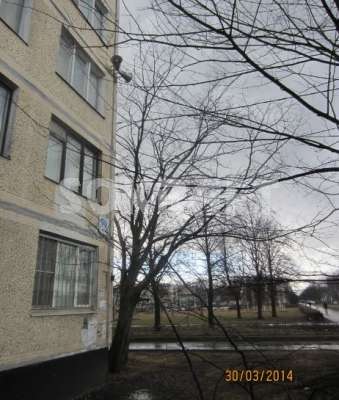 Санкт-Петербург, Калининский район, Проспект Науки,&nbsp;дом&nbsp;79 в Санкт-Петербурге фото 10