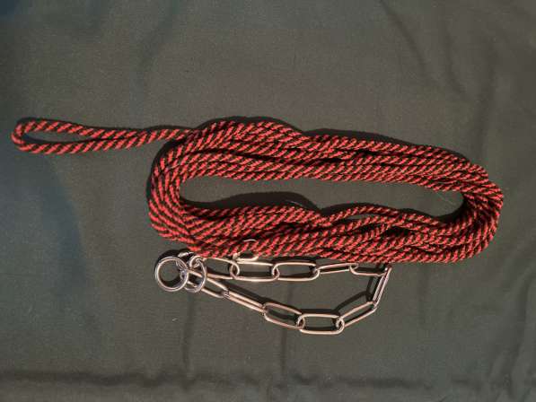 Намордник, Строгий ошейник, Шлейка, Следовой поводок в Москве фото 3