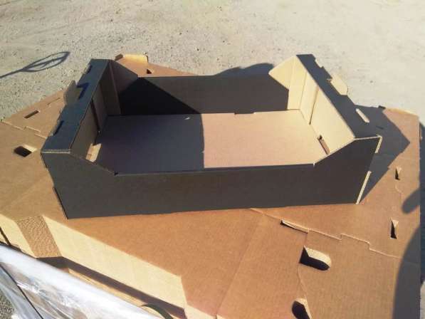 Гофролоток для фруктво и овощей