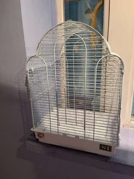 Продам клетку для попугая в Пензе