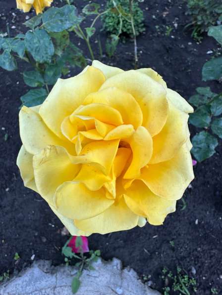 Продам квартиру студию в Краснодаре