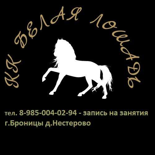 Занятия верховой ездой в Бронницах фото 4
