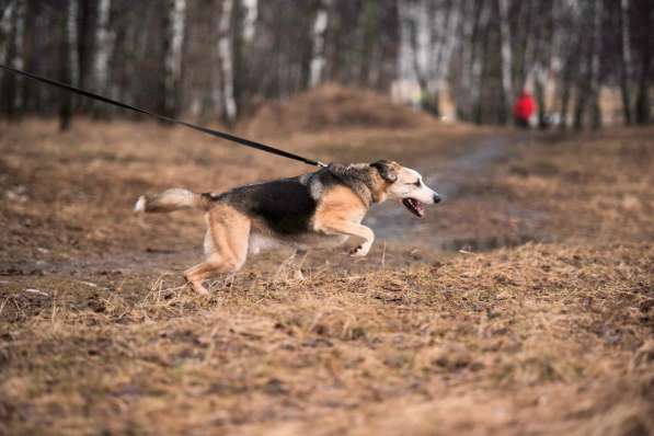 Молодой энергичный Майор ищет семью в Москве фото 53