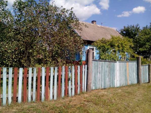 Продаю дом в Республике Беларусь в фото 7