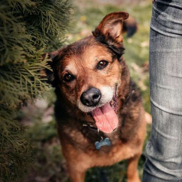 Рада ищет дом в Москве фото 8