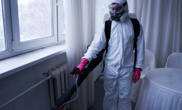 Дезинсекция и дератизация в Волгограде фото 10