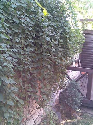 Продам дом в Ростове-на-Дону. Жилая площадь 90 кв.м. 