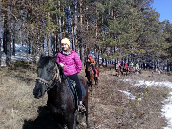 Конная прогулка в Красноярске фото 28