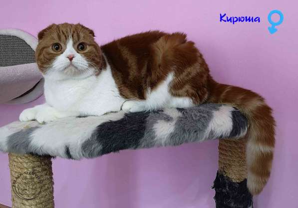 Кирюша мальчик