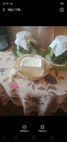 Сыр Адыгейский из козьего молока в Костерёво
