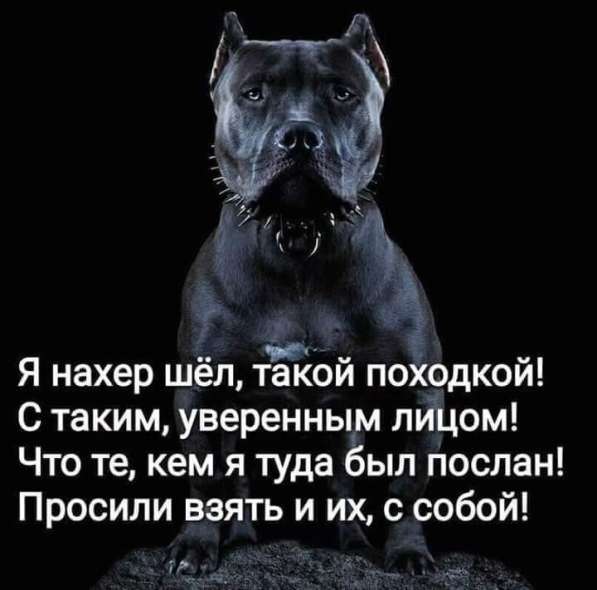 Александр, 49 лет, хочет пообщаться