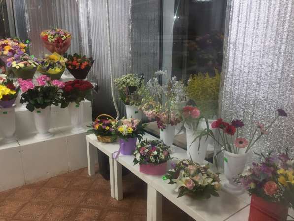 Продаём 50 м2 Цветы возле Метро в Москве фото 14