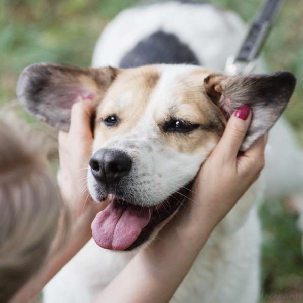 Улыбчивый лучик Фаина ищет семью в Москве фото 31