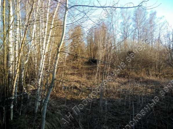 realty_mapper3.plot_in_locationИндивидуальное жилищное ст-во. Есть Электричество, Газ. в Москве фото 13