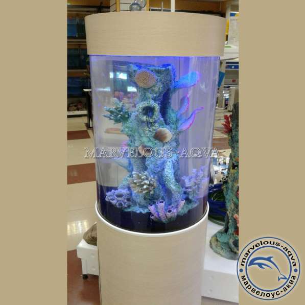 Магазин аквариум в Челябинске