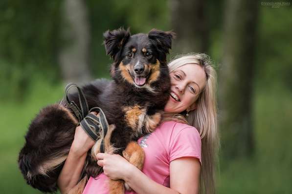 Чудо-собачка Фиби ищет семью в Москве фото 6