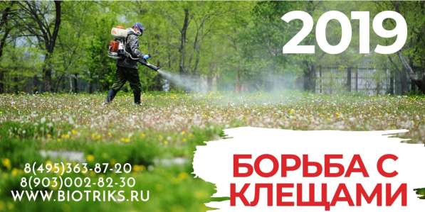 Обработка участков от клещей, борщевика в Истре в Истре фото 8