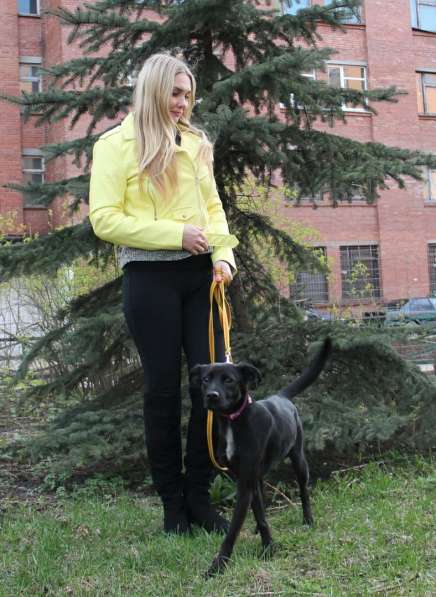 Маленькая смешная собачка ищет дом в Санкт-Петербурге фото 4