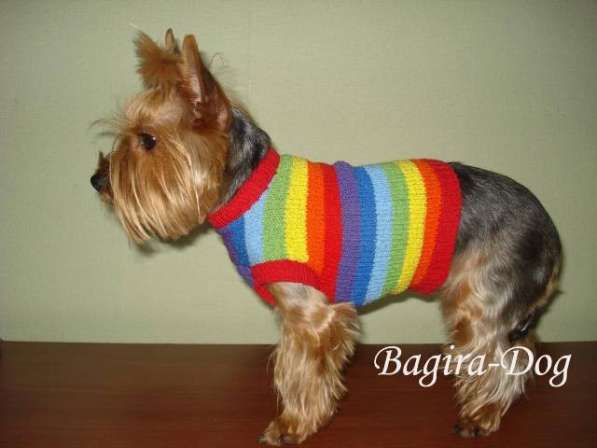 Свитера для собак ручной работы в Москве фото 62