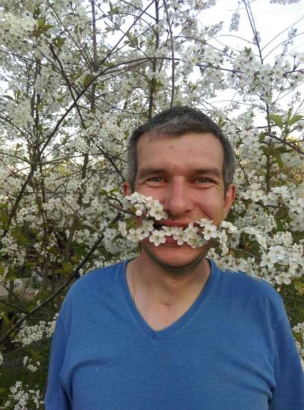 Николай, 34 года, хочет познакомиться в Москве
