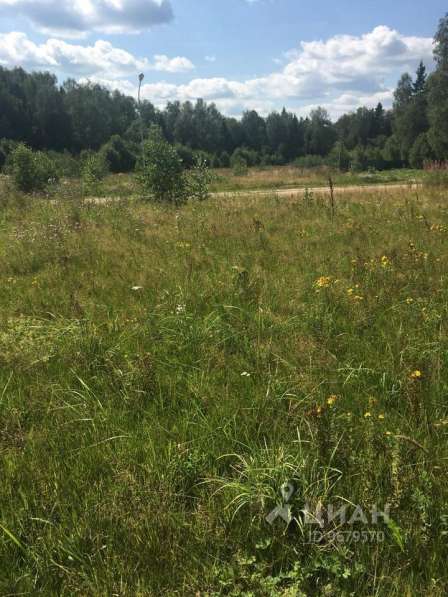 Продажа участка 12 соток в Москве фото 5