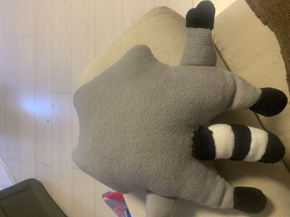 Мягкая игрушка енот в Санкт-Петербурге