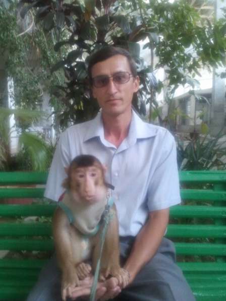 Дмитрий, 55 лет, хочет пообщаться в фото 4