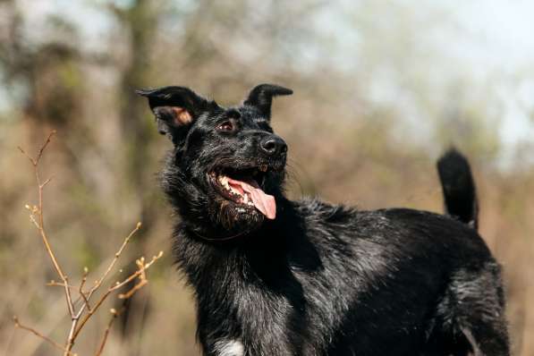 Заберите меня, пожалуйста в Москве фото 3