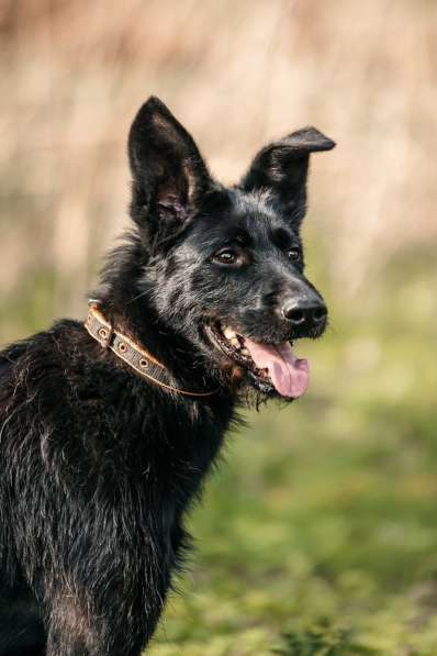 Заберите меня, пожалуйста в Москве фото 8