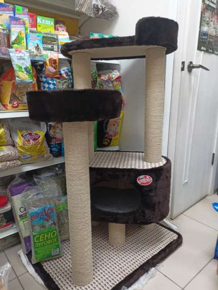 Зоомагазин в Омске