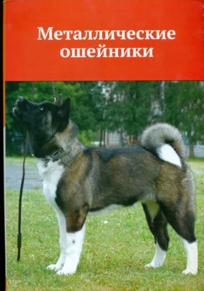 всё для собак в Омске фото 9