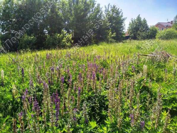 realty_mapper3.plot_in_locationИндивидуальное жилищное ст-во. Есть Электричество, Газ. в Москве фото 73