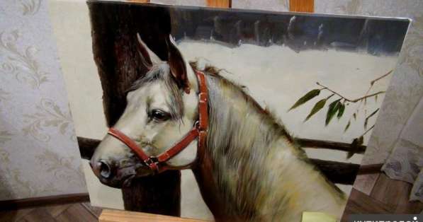 Лошадь, 50х60см, Картина маслом на холсте, Живопись художник