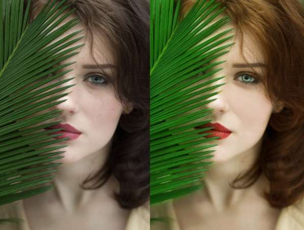 Фотограф Калининград и область в Калининграде фото 53