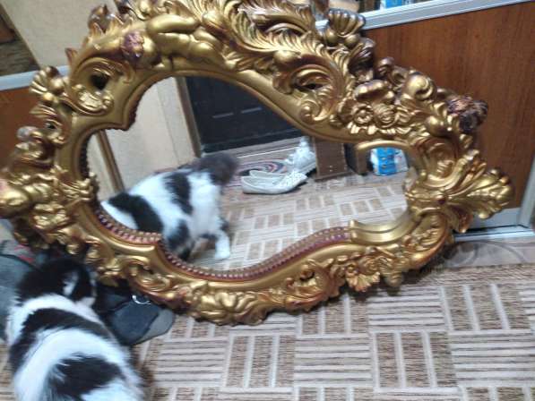 Зеркало в стиле барроко в Брянске