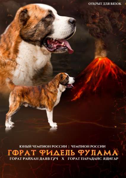 Вязка в Москве фото 12