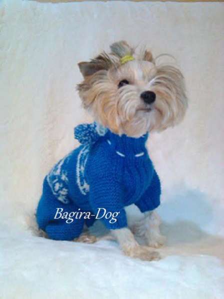 Вязаная одежда для собак в Москве фото 29