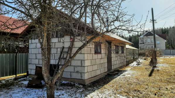 Зимняя дача на берегу живописного озера в Пскове фото 21