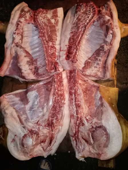 Продам домашнее мясо свинины в Лиски фото 3
