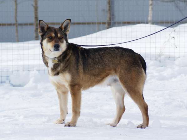 Жду тебя, мой Человек в Москве фото 4